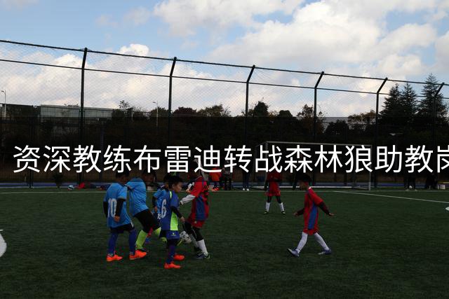 资深教练布雷迪转战森林狼助教岗位
